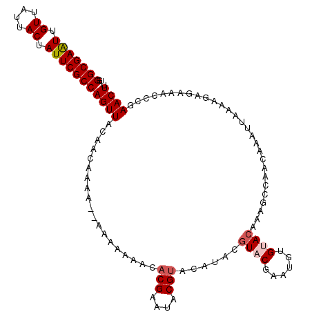 secondary structure