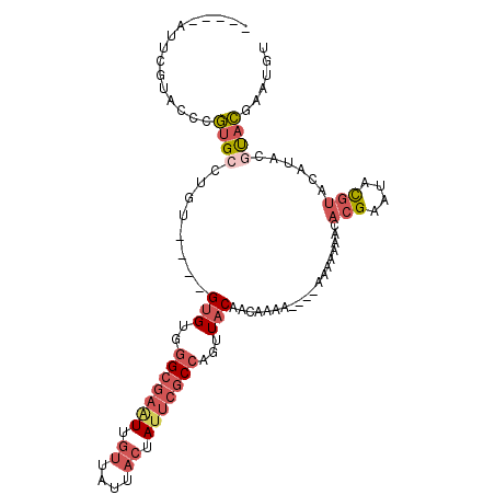 secondary structure