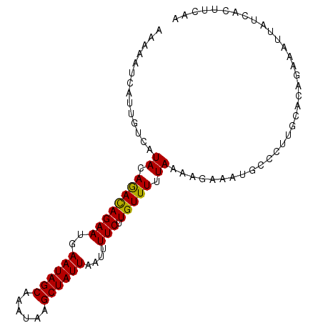 secondary structure