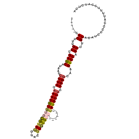 secondary structure
