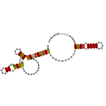 secondary structure