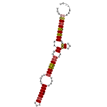 secondary structure