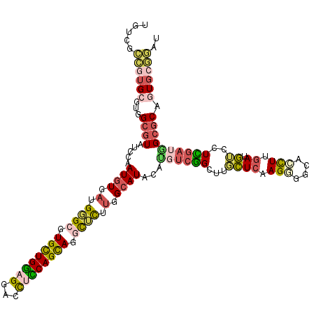 secondary structure