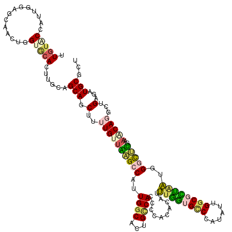 secondary structure