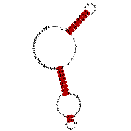 secondary structure