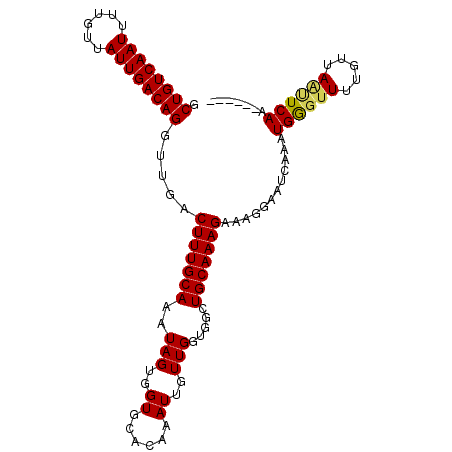 secondary structure