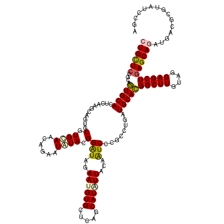 secondary structure