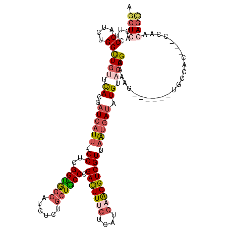 secondary structure