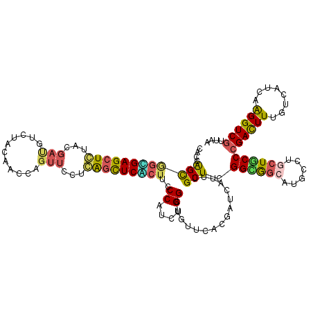 secondary structure