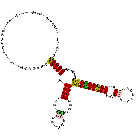 secondary structure