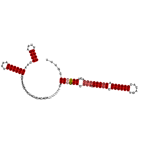 secondary structure