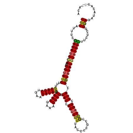 secondary structure