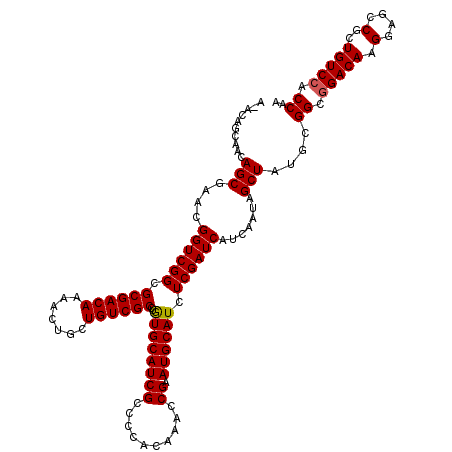 secondary structure