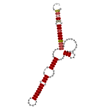 secondary structure