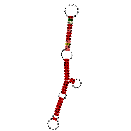 secondary structure