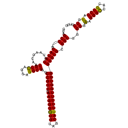 secondary structure