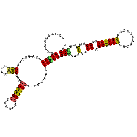 secondary structure