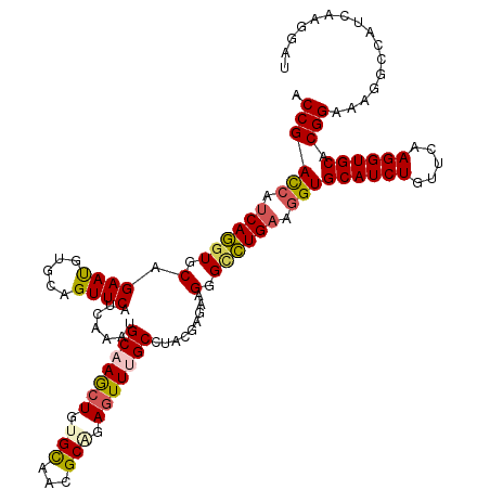 secondary structure
