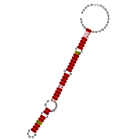 secondary structure