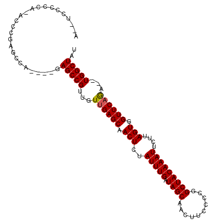 secondary structure