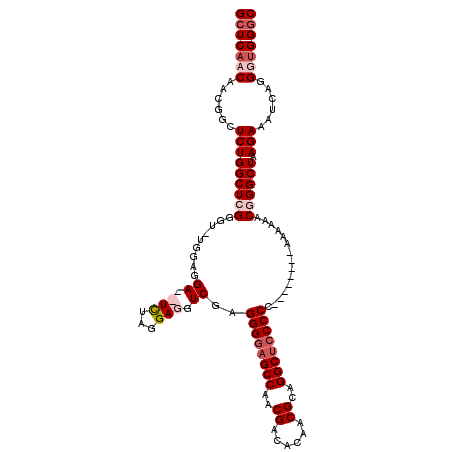 secondary structure