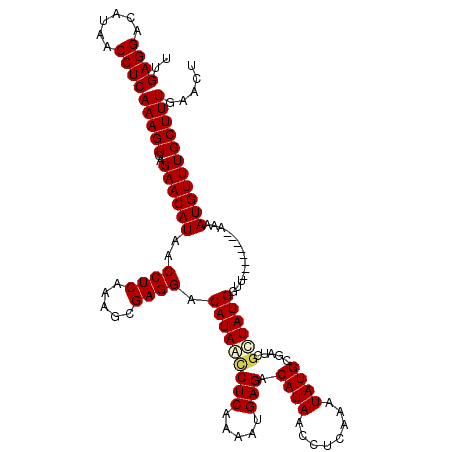 secondary structure