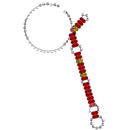 secondary structure
