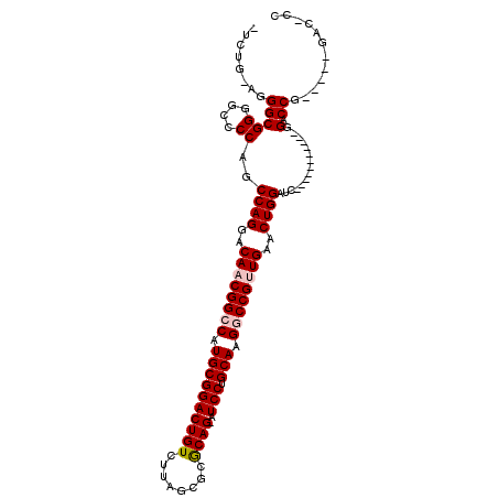 secondary structure