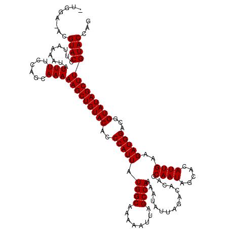 secondary structure
