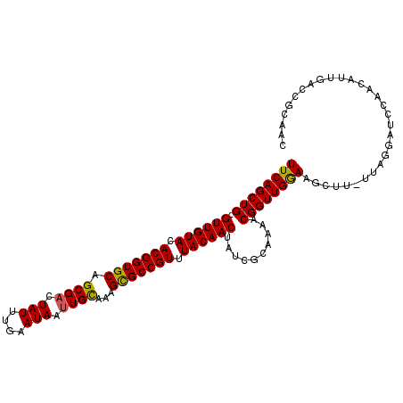 secondary structure