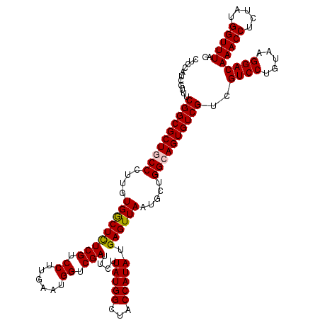 secondary structure