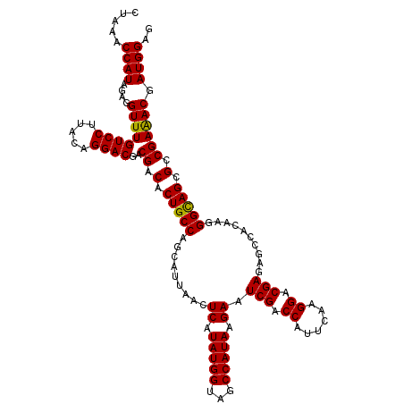secondary structure
