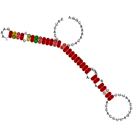 secondary structure