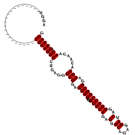 secondary structure
