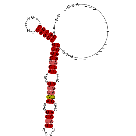 secondary structure