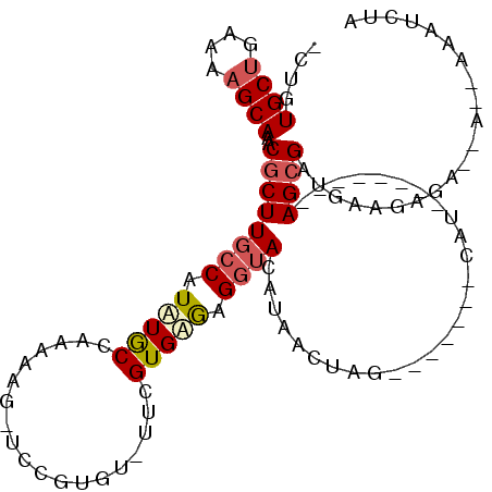 secondary structure