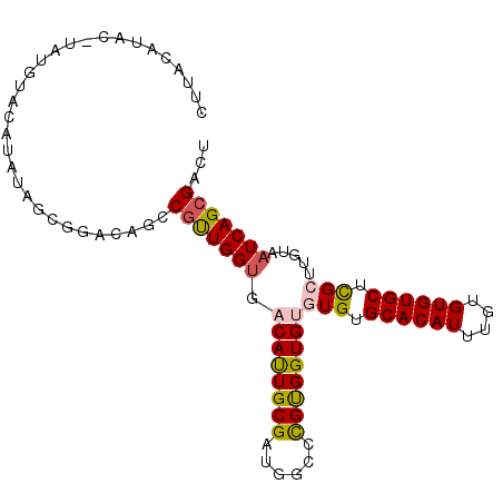 secondary structure