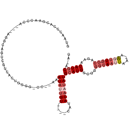 secondary structure