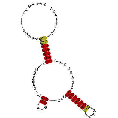secondary structure