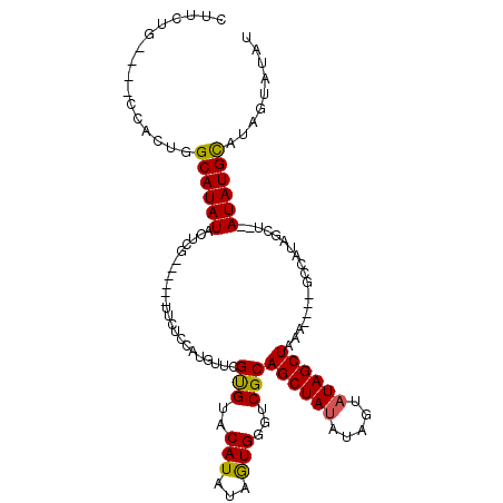 secondary structure