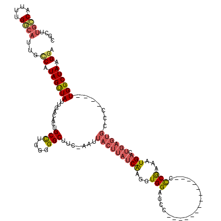 secondary structure