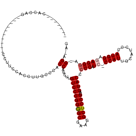 secondary structure