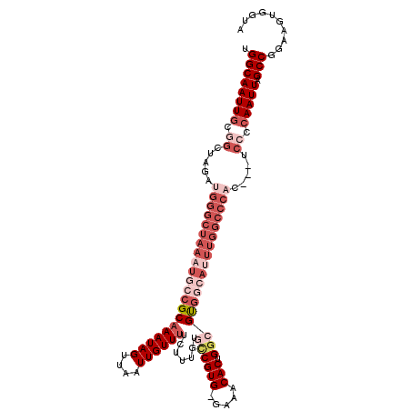 secondary structure