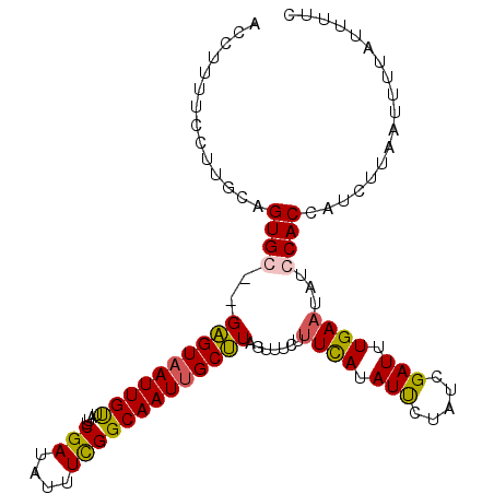 secondary structure