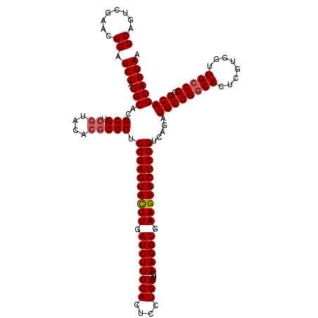 secondary structure