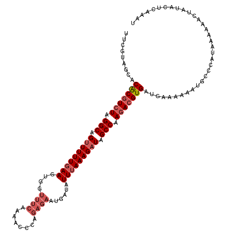 secondary structure