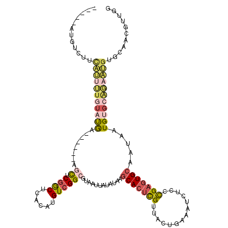 secondary structure