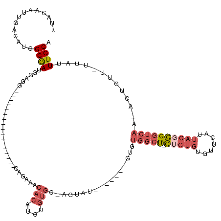 secondary structure