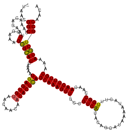 secondary structure