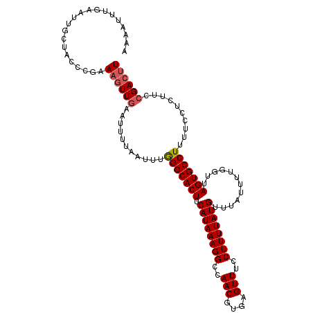 secondary structure